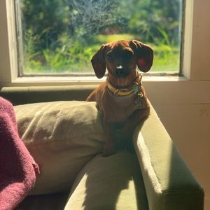 Welcome to my closet!